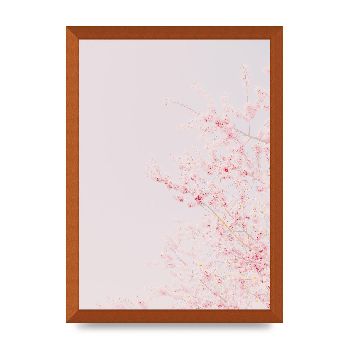 Minimalist Soft Flower Wall Art - A3 framed