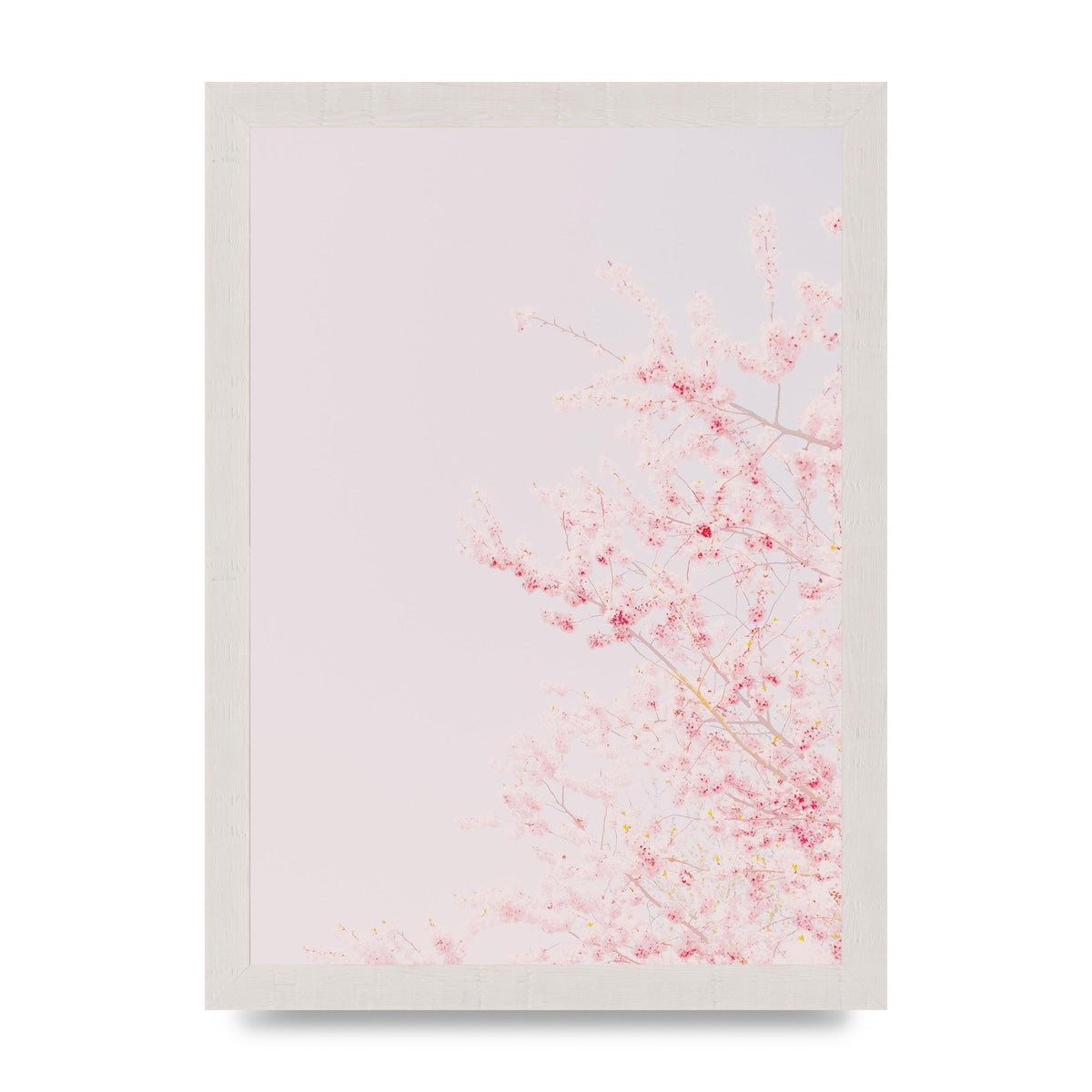 Minimalist Soft Flower Wall Art - A4 framed