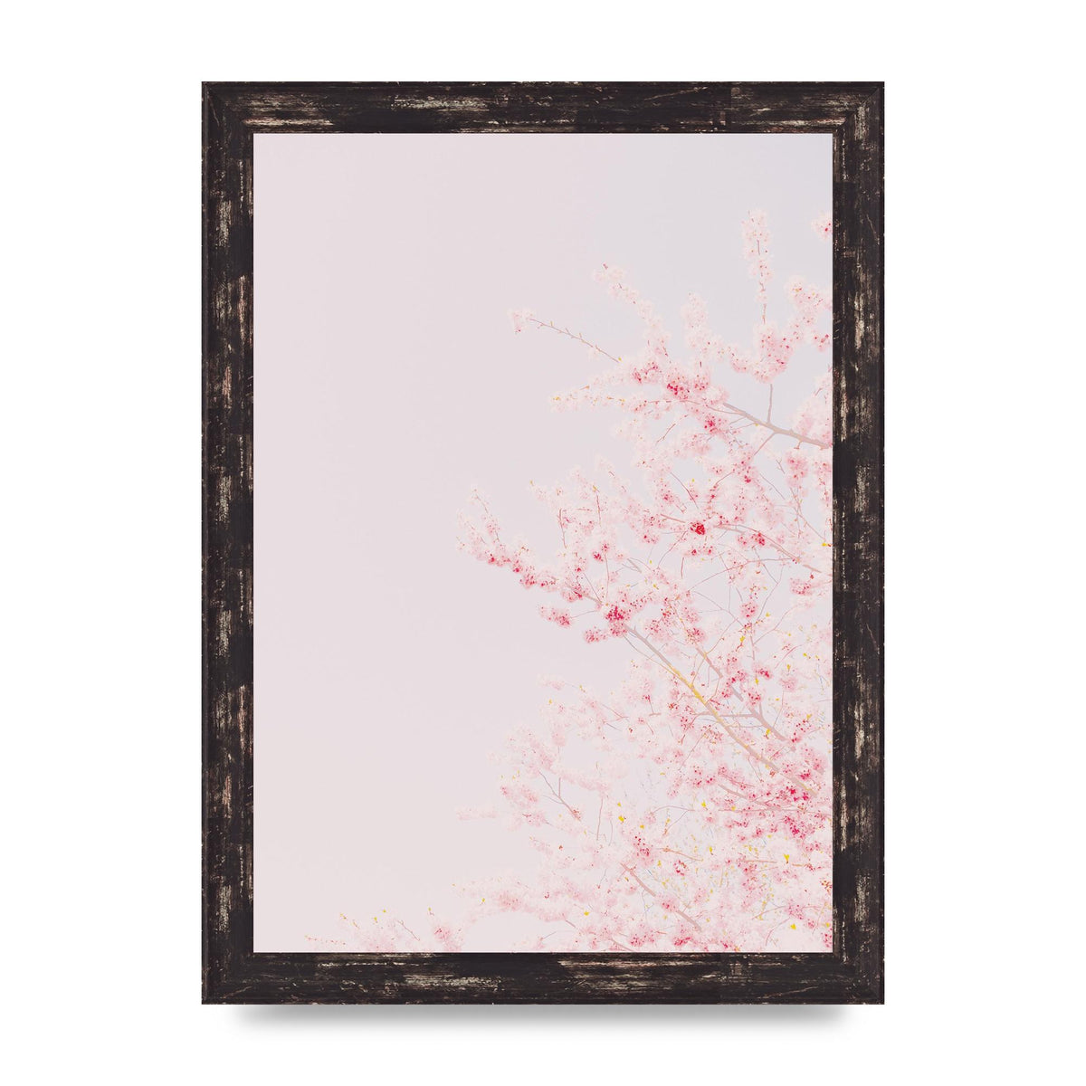 Minimalist Soft Flower Wall Art - A4 framed