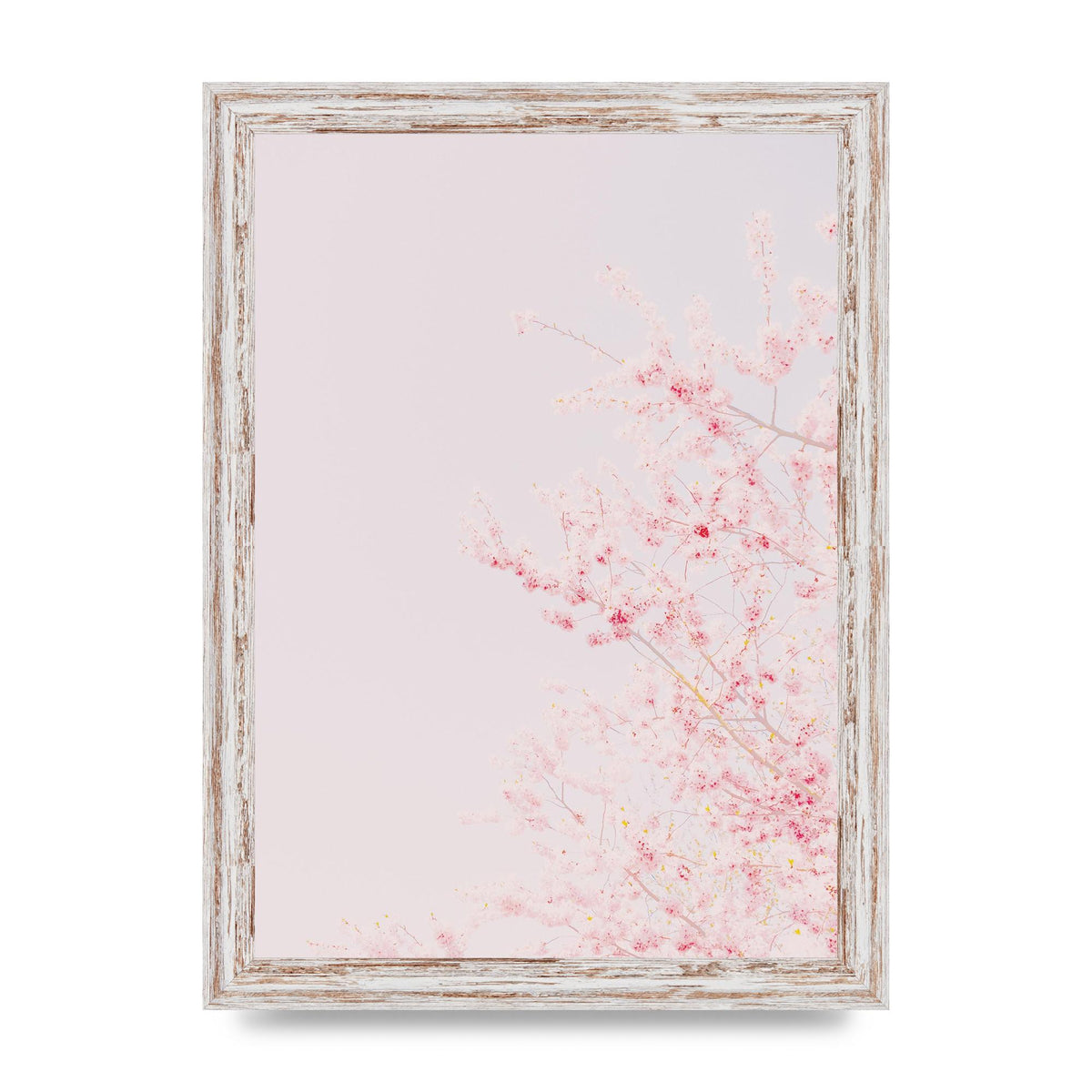 Minimalist Soft Flower Wall Art - A4 framed