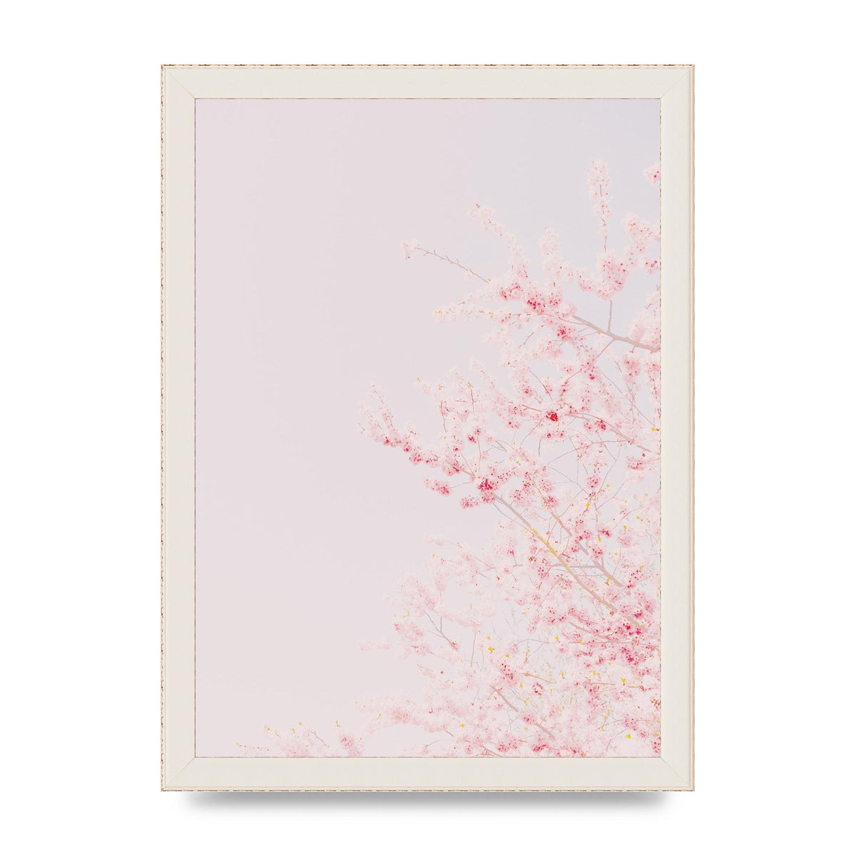 Minimalist Soft Flower Wall Art - A4 framed