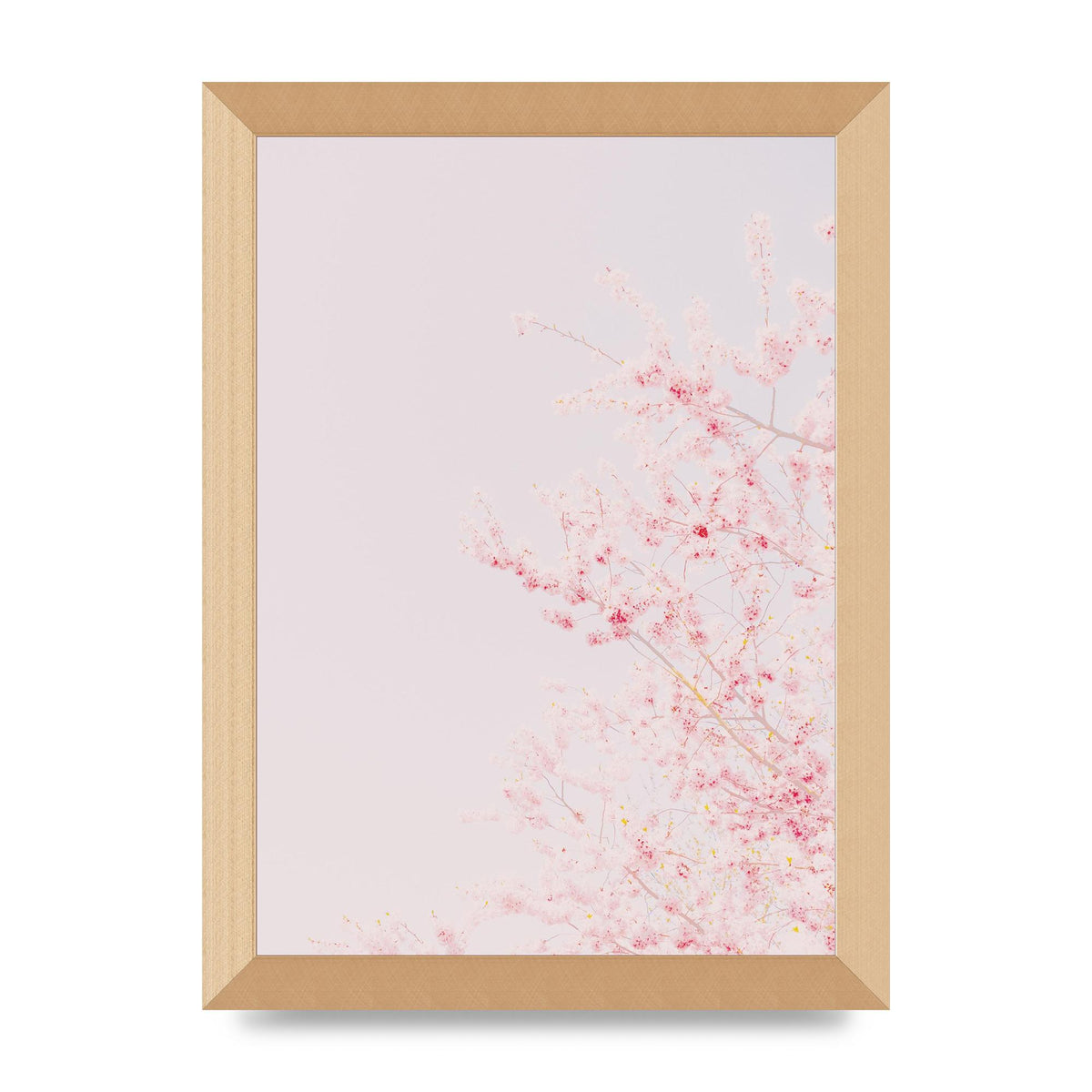 Minimalist Soft Flower Wall Art - A4 framed