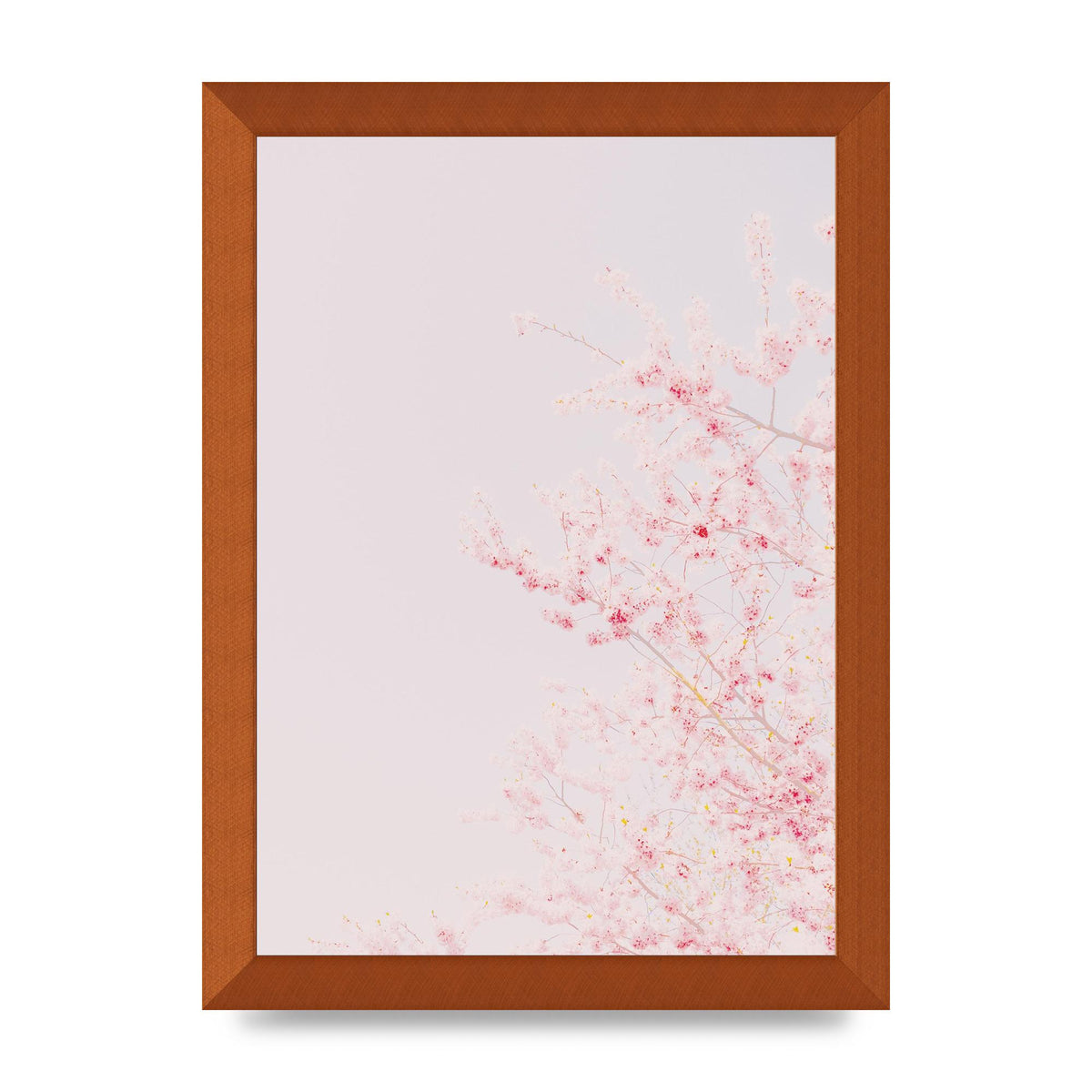 Minimalist Soft Flower Wall Art - A4 framed