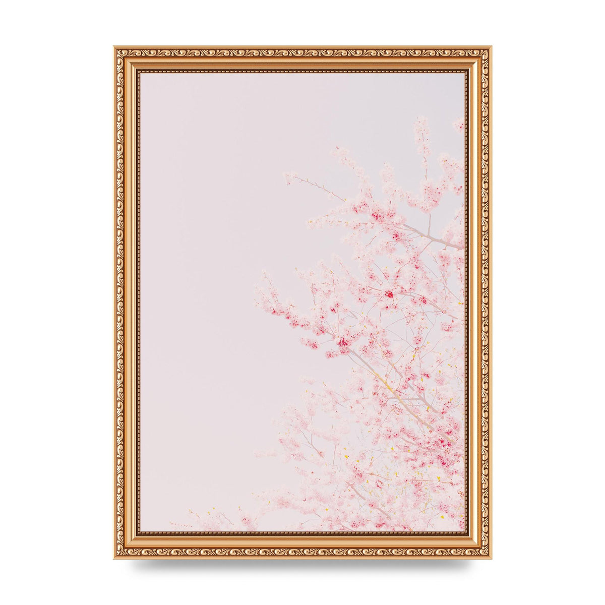 Minimalist Soft Flower Wall Art - A4 framed