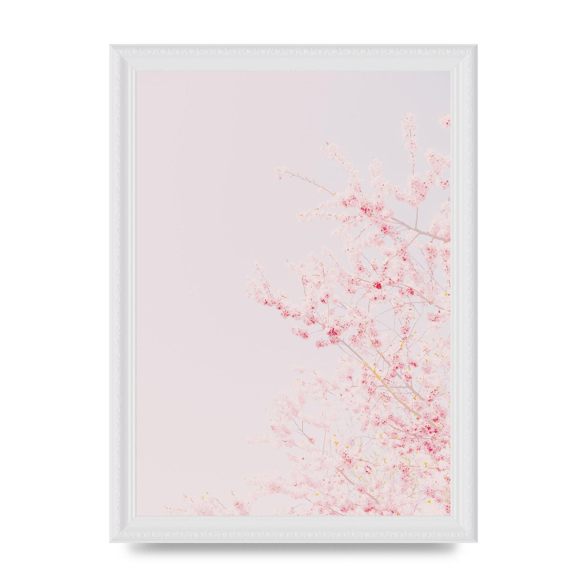 Minimalist Soft Flower Wall Art - A4 framed