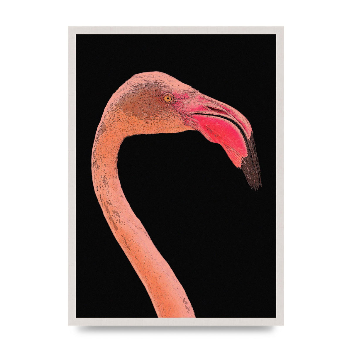 Closeup Flamingo Wall Art - detail