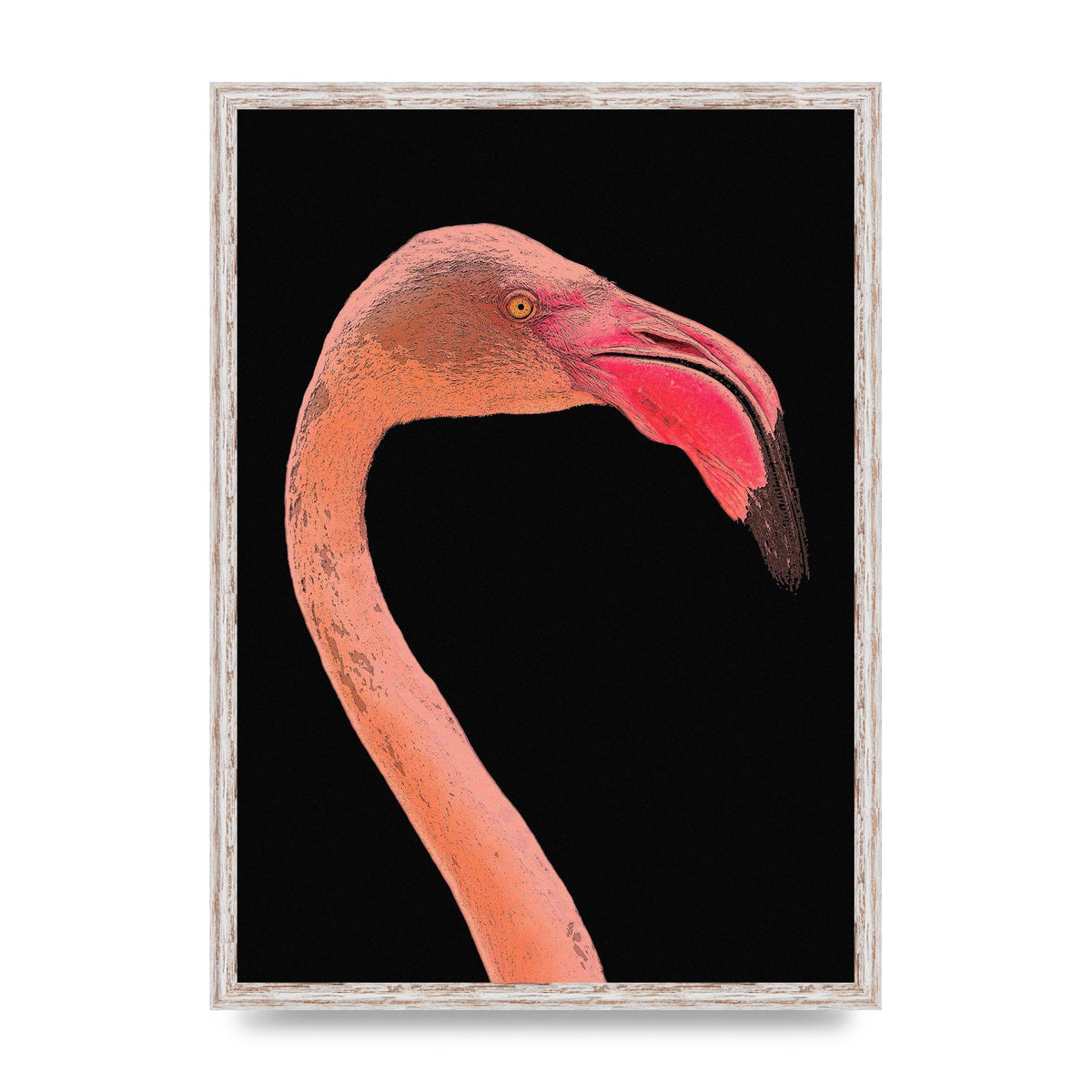 Closeup Flamingo Wall Art - detail