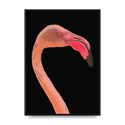 Closeup Flamingo Wall Art - detail