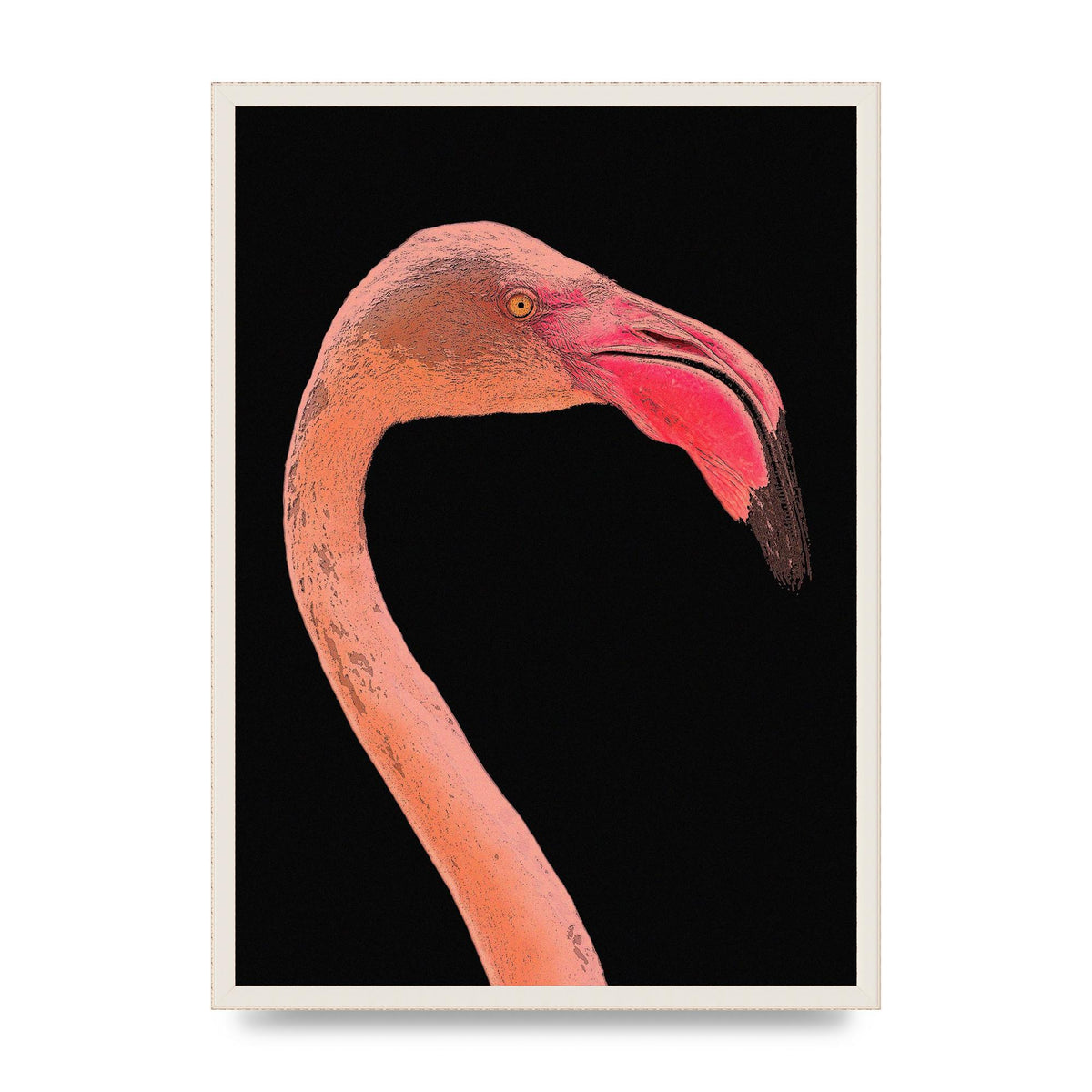 Closeup Flamingo Wall Art - detail