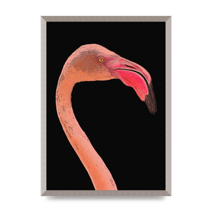 Closeup Flamingo Wall Art - detail