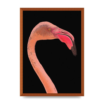 Closeup Flamingo Wall Art - detail