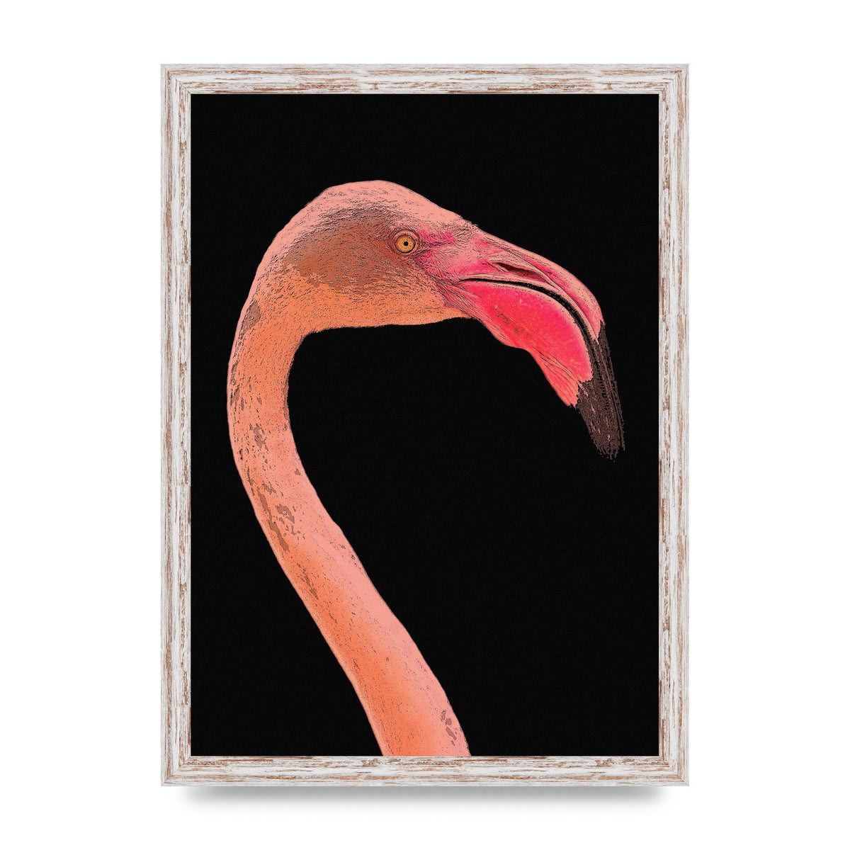 Closeup Flamingo Wall Art - detail