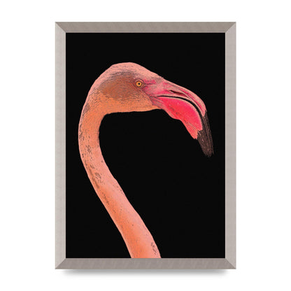Closeup Flamingo Wall Art - detail