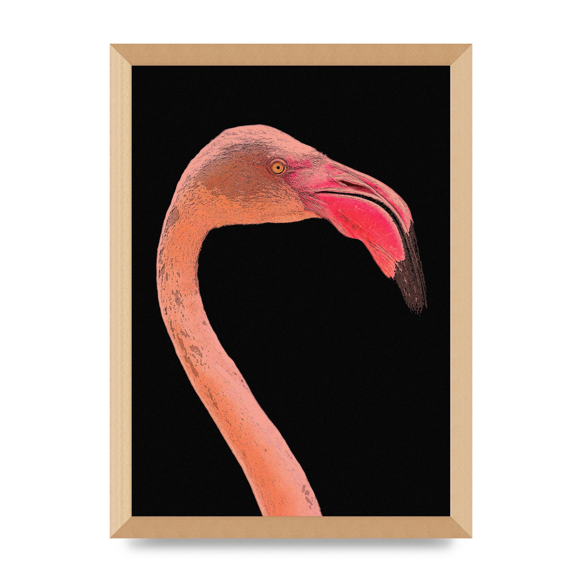 Closeup Flamingo Wall Art - detail