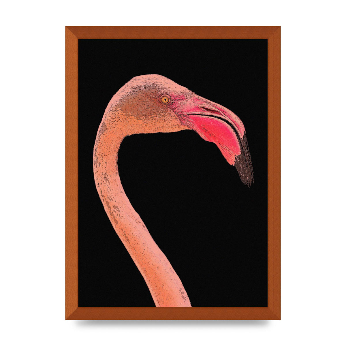 Closeup Flamingo Wall Art - detail