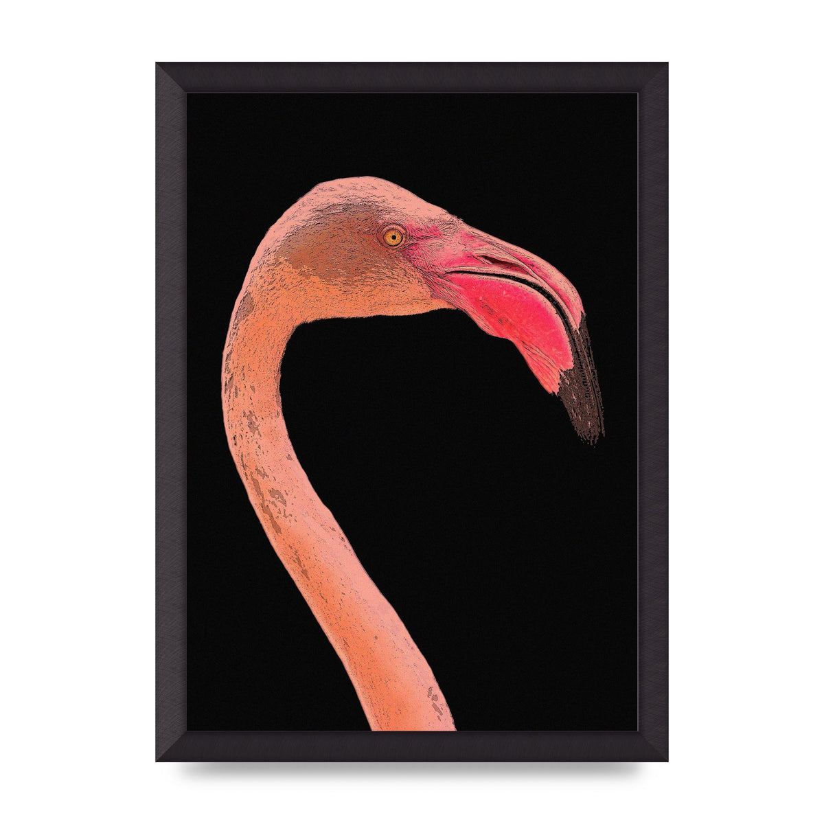 Closeup Flamingo Wall Art - detail
