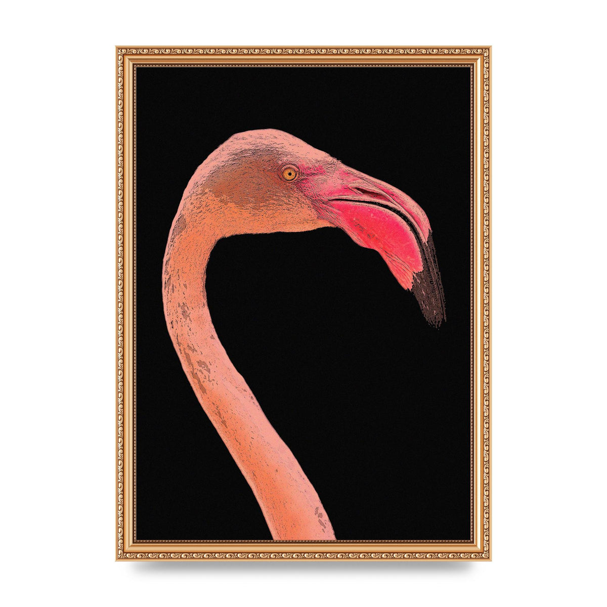 Closeup Flamingo Wall Art - detail