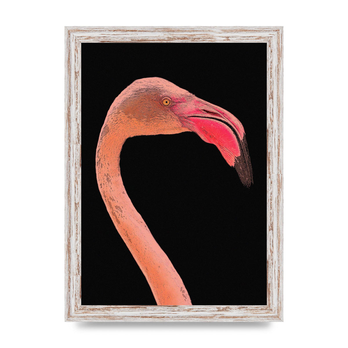 Closeup Flamingo Wall Art - detail