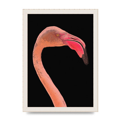 Closeup Flamingo Wall Art - detail