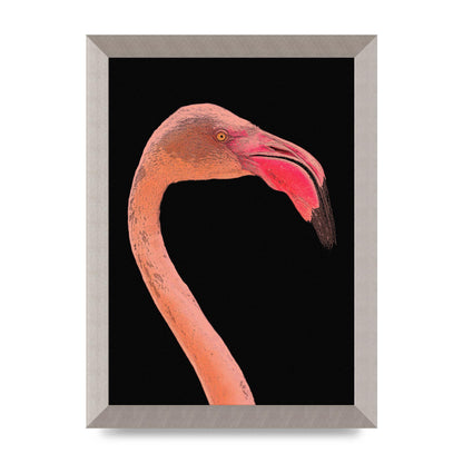 Closeup Flamingo Wall Art - detail