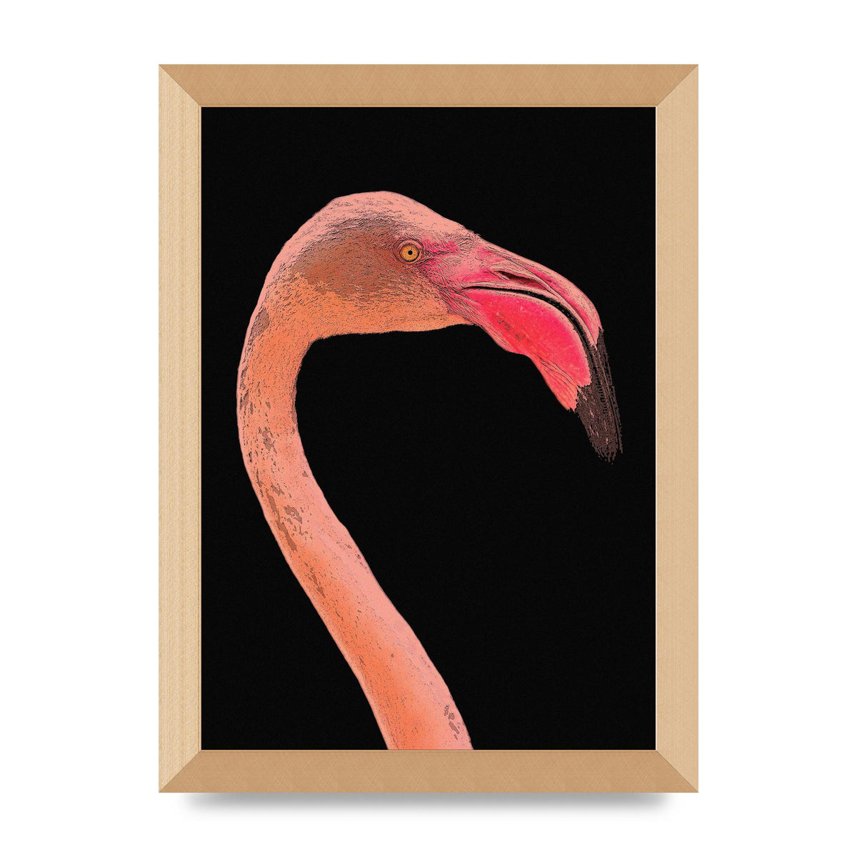 Closeup Flamingo Wall Art - detail