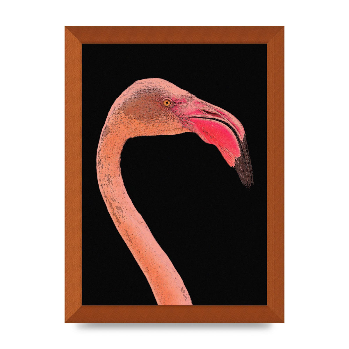 Closeup Flamingo Wall Art - detail