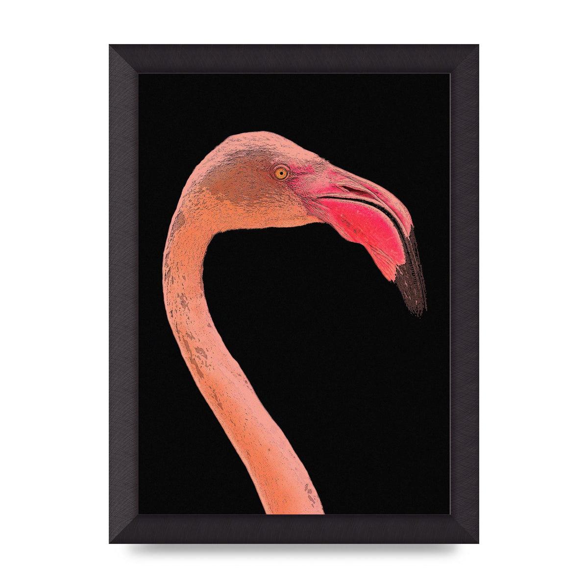 Closeup Flamingo Wall Art - detail