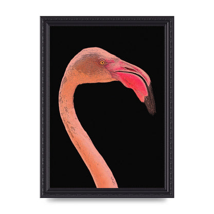 Closeup Flamingo Wall Art - detail