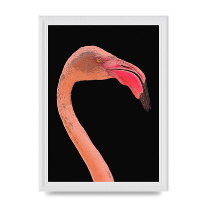 Closeup Flamingo Wall Art - detail