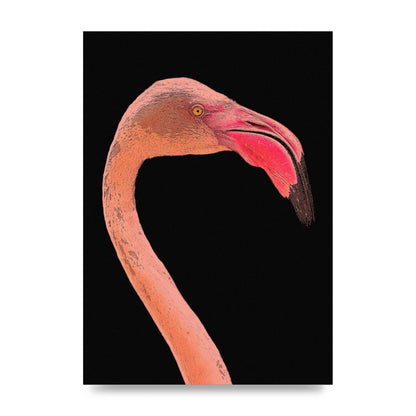 Closeup Flamingo Wall Art - unframed print
