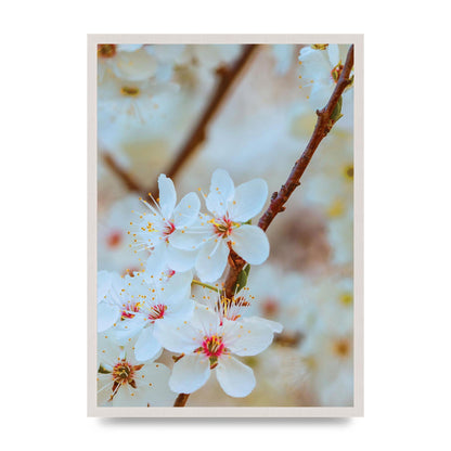 Floral Bud Two Printed Poster - A2 framed