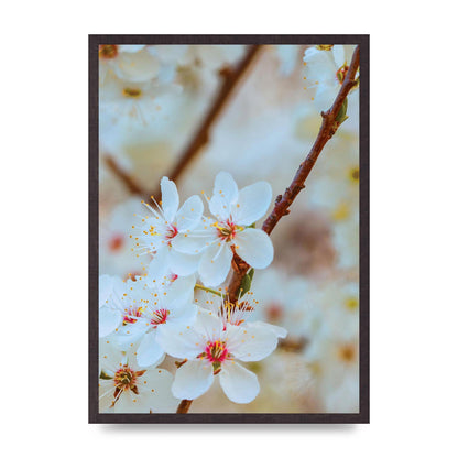 Floral Bud Two Printed Poster - A2 framed