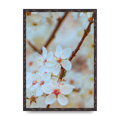 Floral Bud Two Printed Poster - A2 framed