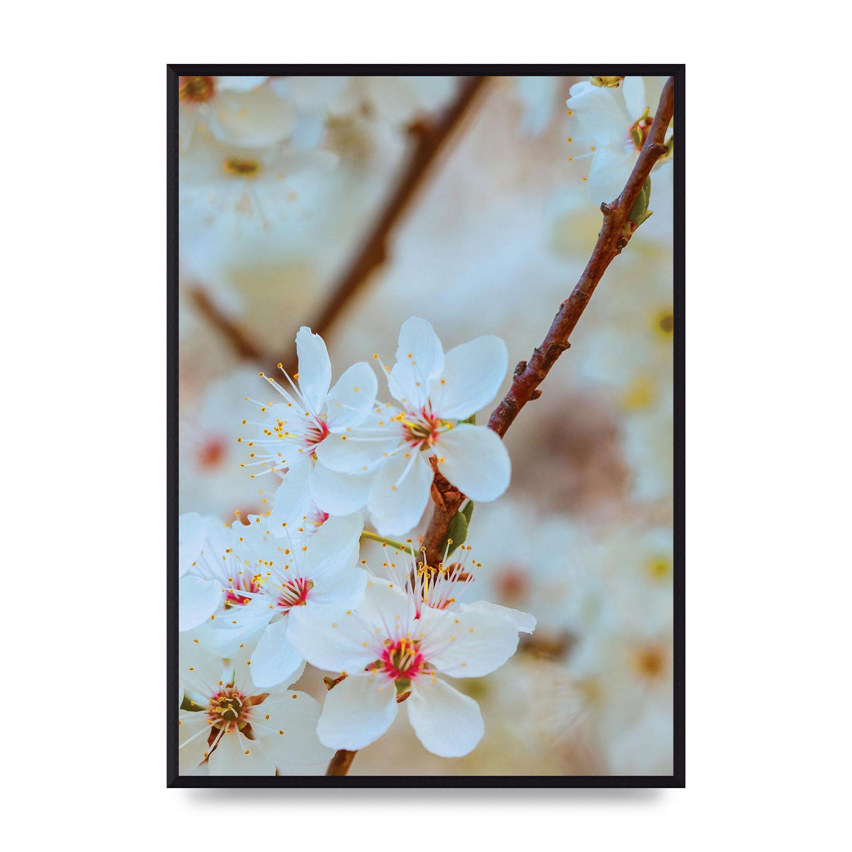 Floral Bud Two Printed Poster - A2 framed