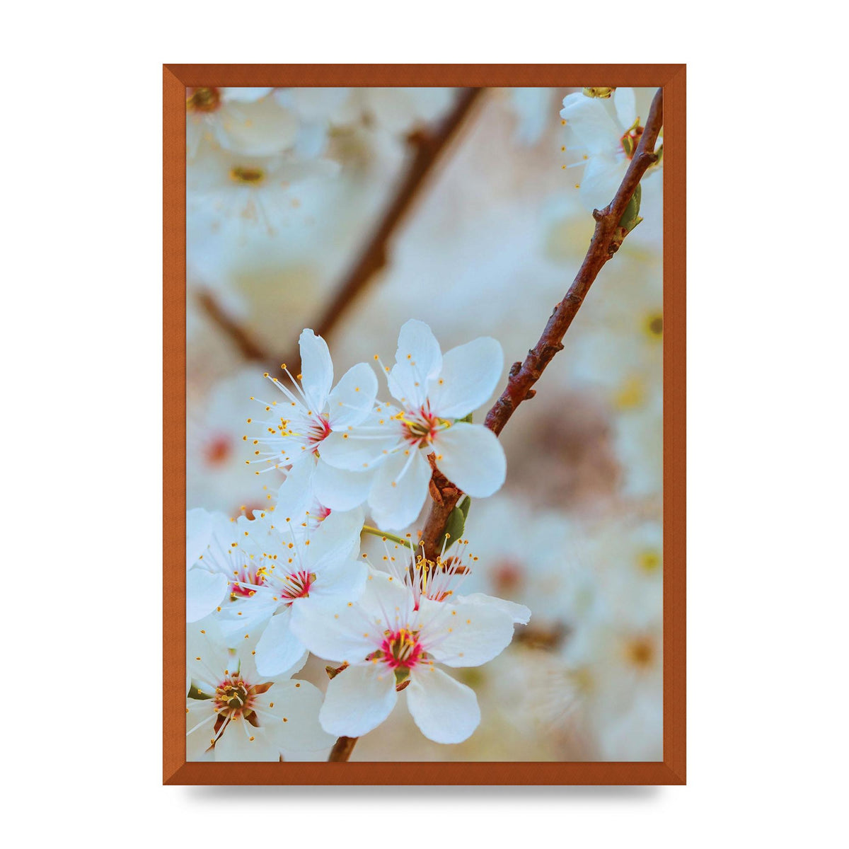 Floral Bud Two Printed Poster - A2 framed