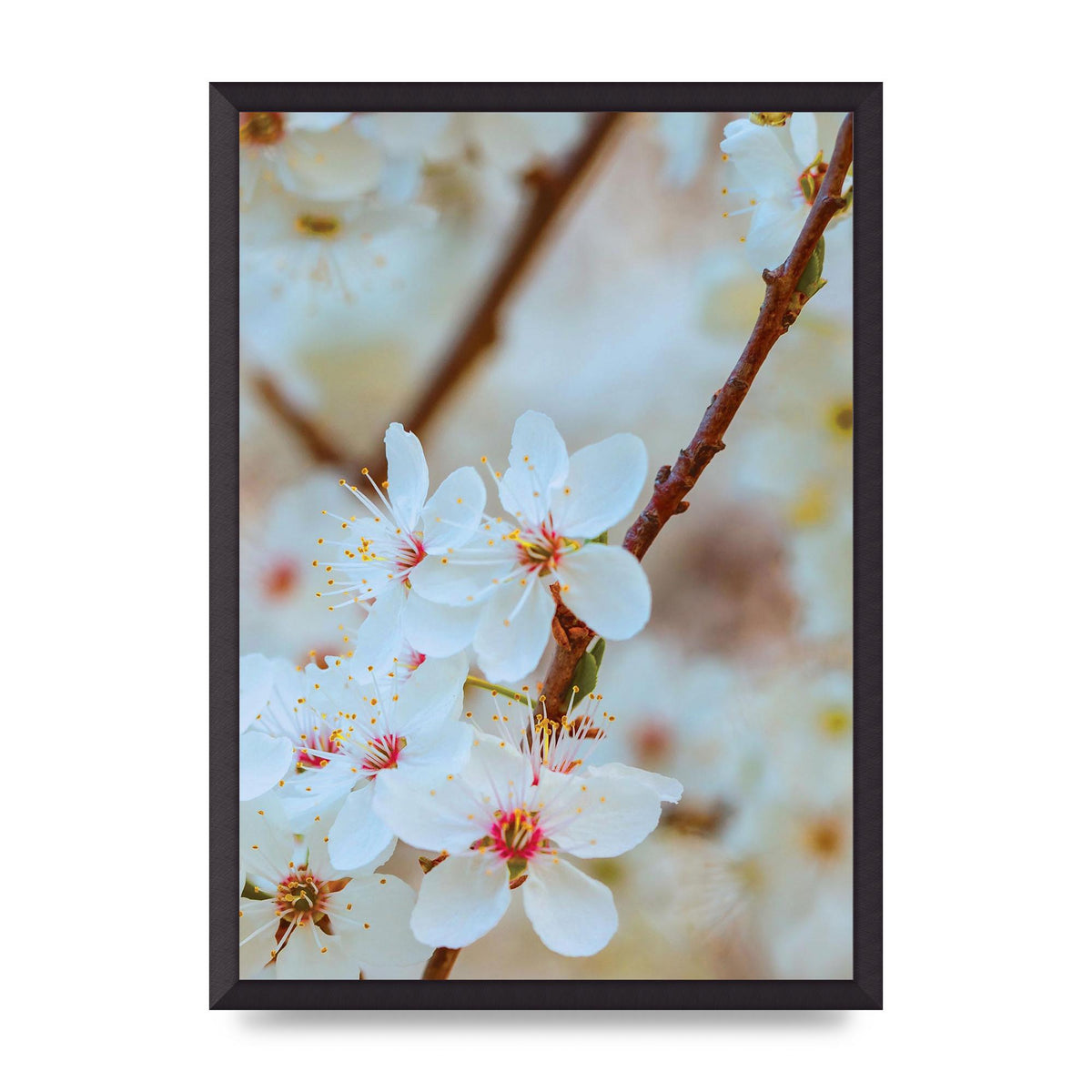Floral Bud Two Printed Poster - A2 framed