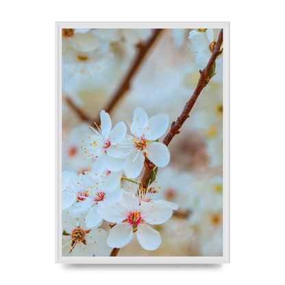 Floral Bud Two Printed Poster - A2 framed