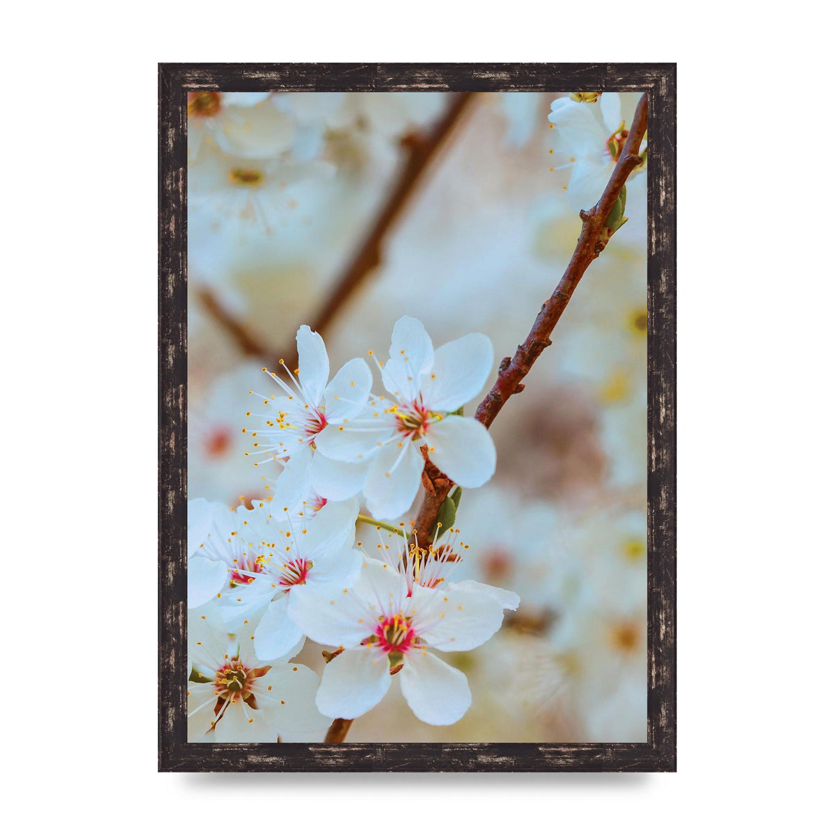 Floral Bud Two Printed Poster - A3 framed