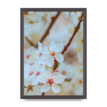 Floral Bud Two Printed Poster - A3 framed