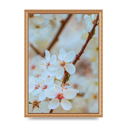 Floral Bud Two Printed Poster - A3 framed