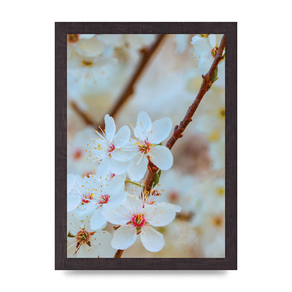 Floral Bud Two Printed Poster - A4 framed