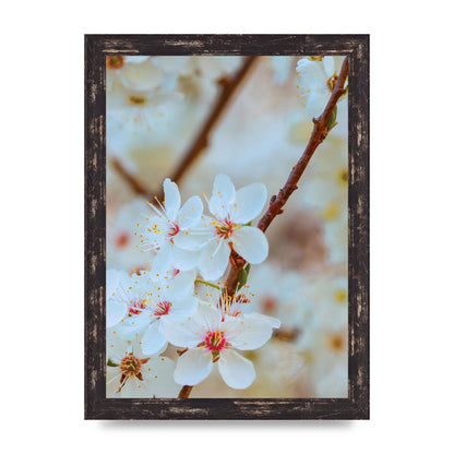 Floral Bud Two Printed Poster - A4 framed