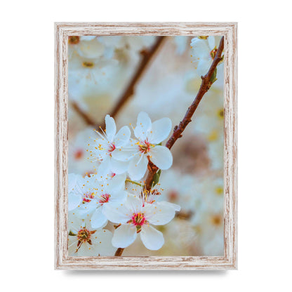 Floral Bud Two Printed Poster - A4 framed