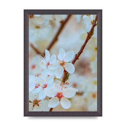Floral Bud Two Printed Poster - A4 framed
