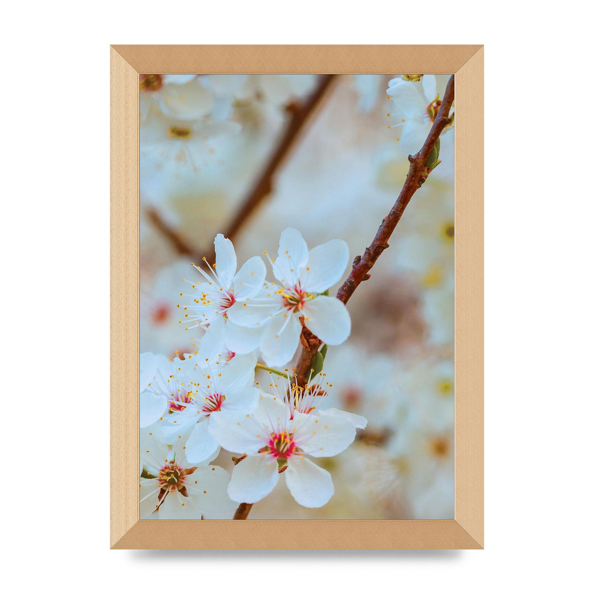 Floral Bud Two Printed Poster - A4 framed