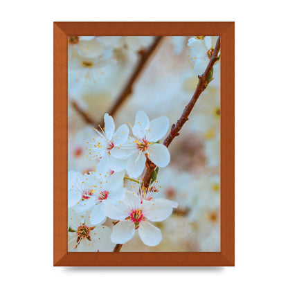 Floral Bud Two Printed Poster - A4 framed