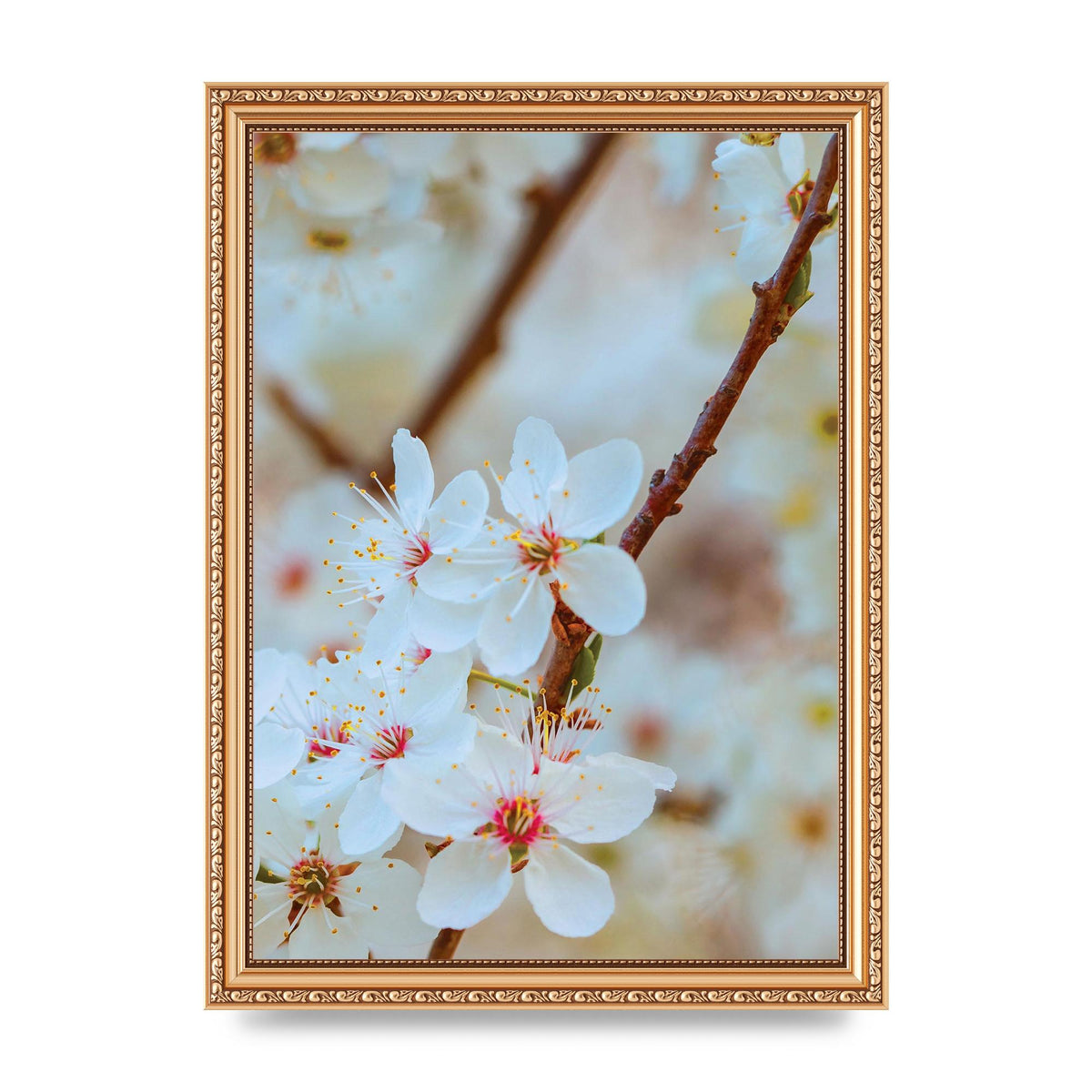 Floral Bud Two Printed Poster - A4 framed