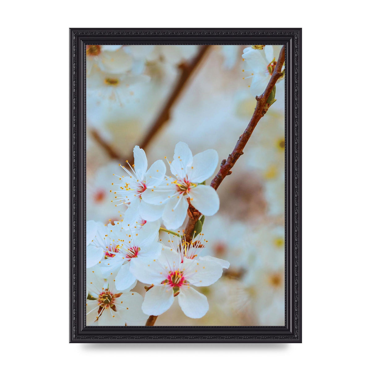 Floral Bud Two Printed Poster - A4 framed