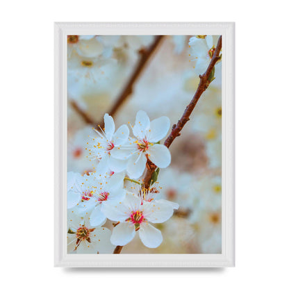 Floral Bud Two Printed Poster - A4 framed