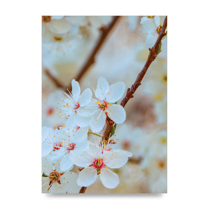 Floral Bud Two Printed Poster - unframed print